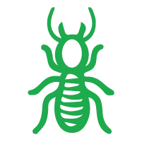 Termite Control