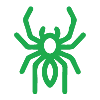 Spider Control