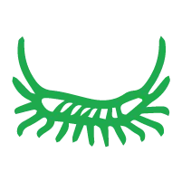 Centipede & Millipede Control